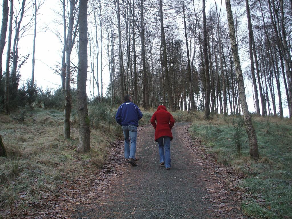Macreddin Rock Bed & Breakfast Aughrim Luaran gambar