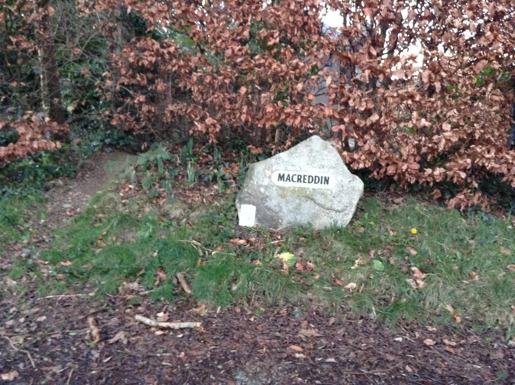 Macreddin Rock Bed & Breakfast Aughrim Luaran gambar