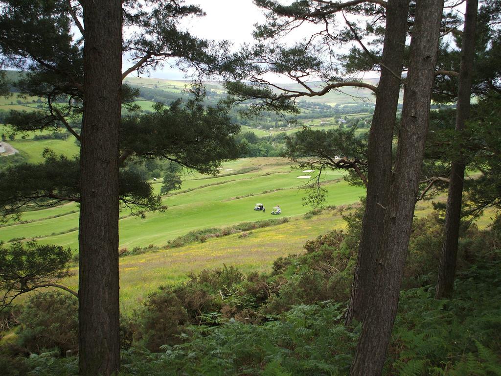 Macreddin Rock Bed & Breakfast Aughrim Luaran gambar