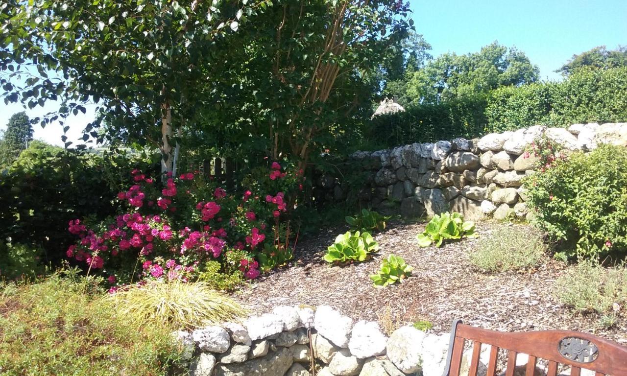 Macreddin Rock Bed & Breakfast Aughrim Luaran gambar