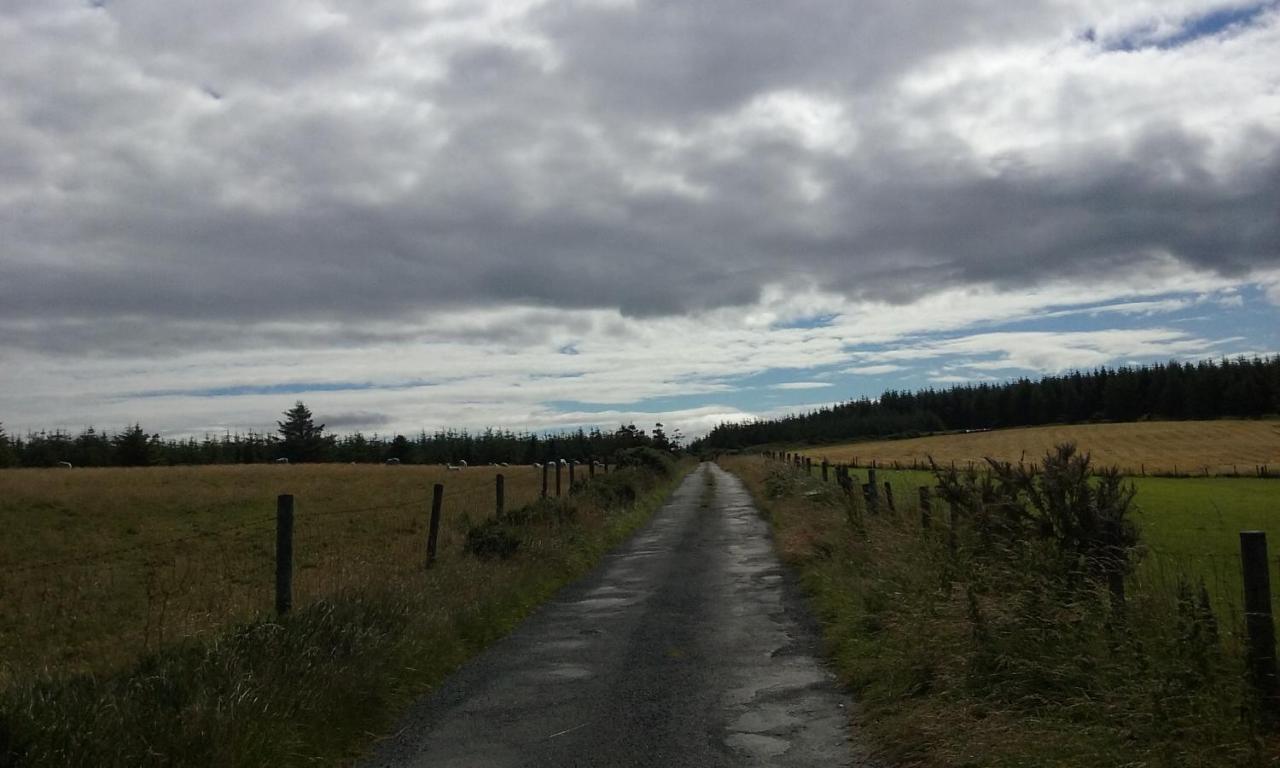 Macreddin Rock Bed & Breakfast Aughrim Luaran gambar