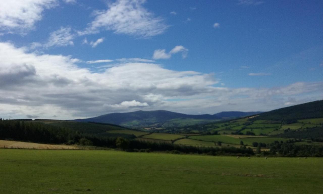 Macreddin Rock Bed & Breakfast Aughrim Luaran gambar