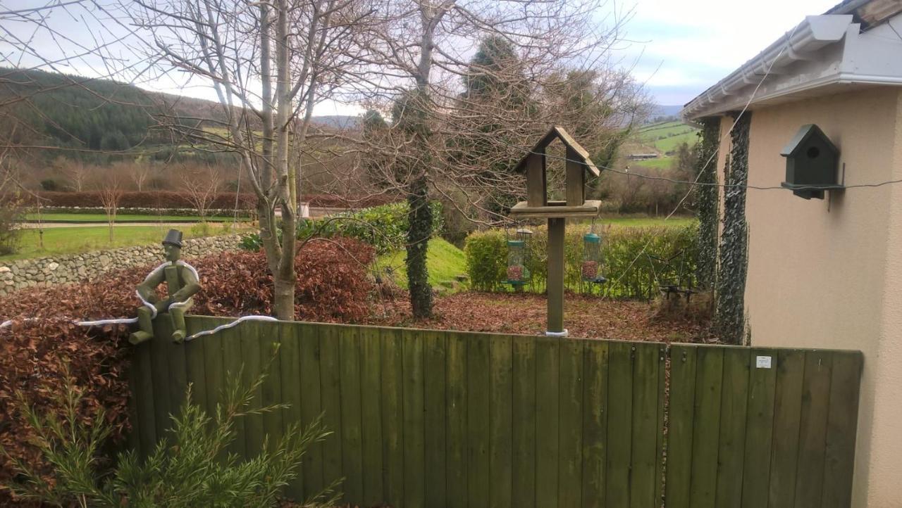 Macreddin Rock Bed & Breakfast Aughrim Luaran gambar