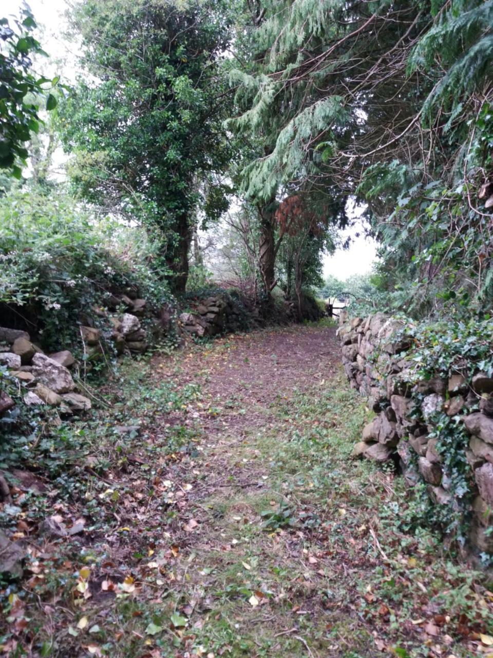 Macreddin Rock Bed & Breakfast Aughrim Luaran gambar